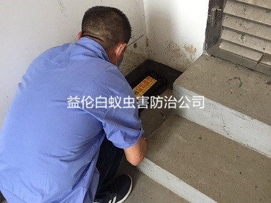 廣州倉(cāng)庫滅白蟻工程