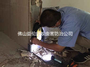 西南倉(cāng)庫防治白蟻