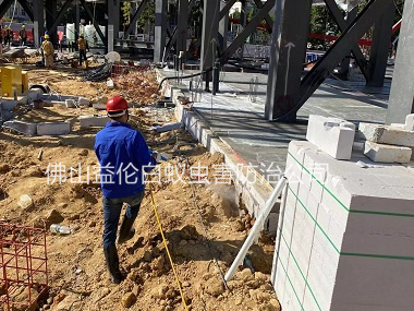高明區(qū)新建房屋白蟻預防